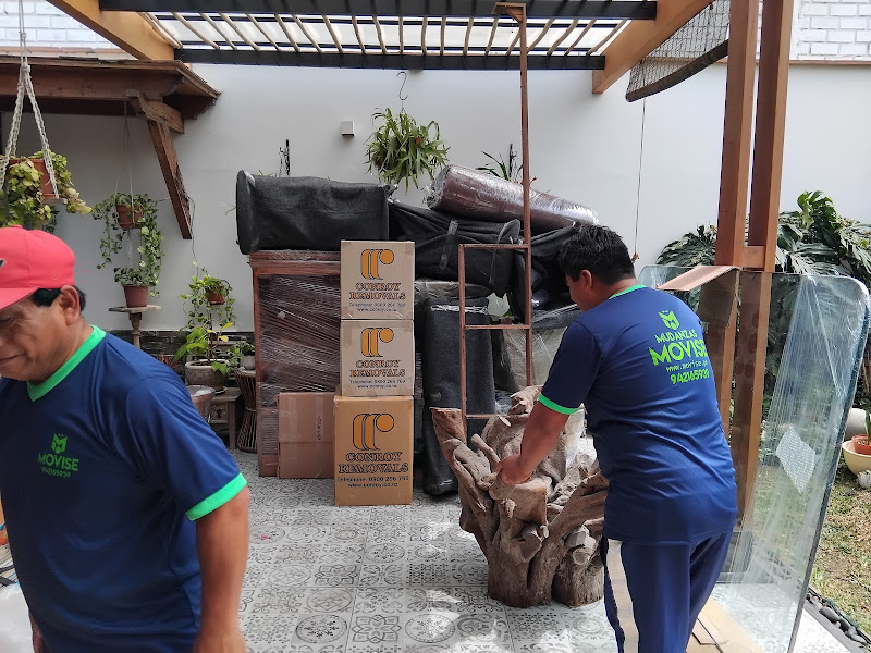 Vehículo de mudanzas en zona residencial de San Luis - Empresa de mudanzas